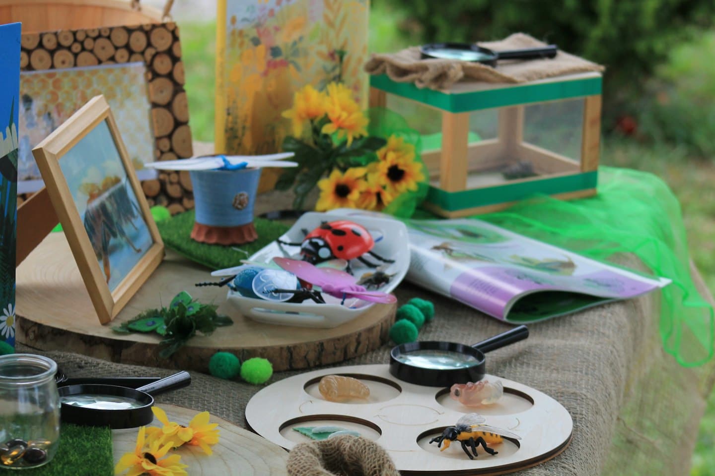 Tavolo per l'esplorazione della natura per bambini con giocattoli di insetti e lenti d'ingrandimento.